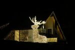 Vinkeveen 4 januari 2022
Kerstverlichting bij het huis van Tino Martin