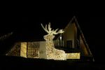 Vinkeveen 4 januari 2022
Kerstverlichting bij het huis van Tino Martin
