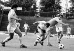 Willy v d Kuylen tegen de FC Den Bosch in 1981



PETER SMULDERS BV