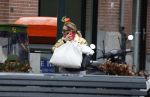 Amsterdam 20 januari 2023
Connie Witteman doet in haar groene biro en gouden jas met roze trui boodschappen in Amsterdam zuid.