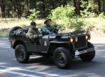 Aalst-Waalre, 14 September 2019
Militaire auto optocht 75 jaar bevrijding
Fotopersbureau Peter Smulders BV