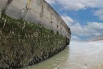 Normandie Frankrijk 25 Maart 2018
Fotopersbureau Peter Smulders BV