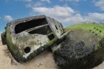 Normandie Frankrijk 25 Maart 2018
Fotopersbureau Peter Smulders BV