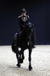 Amsterdam 28 januari 2023
Samantha Steenwijk rijdt op haar paard een kuhr terwijl ze zingt tijdens Jumping Amsterdam in de RAI.