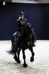 Amsterdam 28 januari 2023
Samantha Steenwijk rijdt op haar paard een kuhr terwijl ze zingt tijdens Jumping Amsterdam in de RAI.