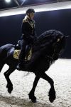 Amsterdam 28 januari 2023
Samantha Steenwijk rijdt op haar paard een kuhr terwijl ze zingt tijdens Jumping Amsterdam in de RAI.