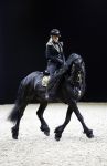 Amsterdam 28 januari 2023
Samantha Steenwijk rijdt op haar paard een kuhr terwijl ze zingt tijdens Jumping Amsterdam in de RAI.