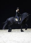 Amsterdam 28 januari 2023
Samantha Steenwijk rijdt op haar paard een kuhr terwijl ze zingt tijdens Jumping Amsterdam in de RAI.