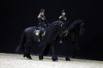 Amsterdam 28 januari 2023
Samantha Steenwijk rijdt op haar paard een kuhr terwijl ze zingt tijdens Jumping Amsterdam in de RAI.