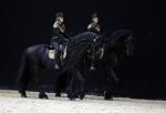 Amsterdam 28 januari 2023
Samantha Steenwijk rijdt op haar paard een kuhr terwijl ze zingt tijdens Jumping Amsterdam in de RAI.