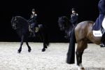 Amsterdam 28 januari 2023
Samantha Steenwijk rijdt op haar paard een kuhr terwijl ze zingt tijdens Jumping Amsterdam in de RAI.