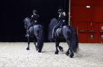 Amsterdam 28 januari 2023
Samantha Steenwijk rijdt op haar paard een kuhr terwijl ze zingt tijdens Jumping Amsterdam in de RAI.