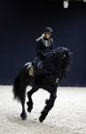 Amsterdam 28 januari 2023
Samantha Steenwijk rijdt op haar paard een kuhr terwijl ze zingt tijdens Jumping Amsterdam in de RAI.