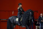 Amsterdam 28 januari 2023
Samantha Steenwijk rijdt op haar paard een kuhr terwijl ze zingt tijdens Jumping Amsterdam in de RAI.