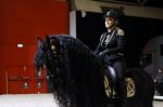 Amsterdam 28 januari 2023
Samantha Steenwijk rijdt op haar paard een kuhr terwijl ze zingt tijdens Jumping Amsterdam in de RAI.