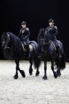 Amsterdam 28 januari 2023
Samantha Steenwijk rijdt op haar paard een kuhr terwijl ze zingt tijdens Jumping Amsterdam in de RAI.