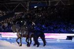 Amsterdam 28 januari 2023
Samantha Steenwijk rijdt op haar paard een kuhr terwijl ze zingt tijdens Jumping Amsterdam in de RAI.
