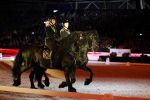 Amsterdam 28 januari 2023
Samantha Steenwijk rijdt op haar paard een kuhr terwijl ze zingt tijdens Jumping Amsterdam in de RAI.