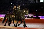 Amsterdam 28 januari 2023
Samantha Steenwijk rijdt op haar paard een kuhr terwijl ze zingt tijdens Jumping Amsterdam in de RAI.
