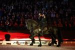 Amsterdam 28 januari 2023
Samantha Steenwijk rijdt op haar paard een kuhr terwijl ze zingt tijdens Jumping Amsterdam in de RAI.