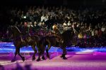 Amsterdam 28 januari 2023
Samantha Steenwijk rijdt op haar paard een kuhr terwijl ze zingt tijdens Jumping Amsterdam in de RAI.
