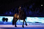 Amsterdam 28 januari 2023
Samantha Steenwijk rijdt op haar paard een kuhr terwijl ze zingt tijdens Jumping Amsterdam in de RAI.