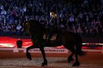 Amsterdam 28 januari 2023
Samantha Steenwijk rijdt op haar paard een kuhr terwijl ze zingt tijdens Jumping Amsterdam in de RAI.
