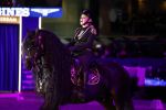 Amsterdam 28 januari 2023
Samantha Steenwijk rijdt op haar paard een kuhr terwijl ze zingt tijdens Jumping Amsterdam in de RAI.