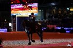Amsterdam 28 januari 2023
Samantha Steenwijk rijdt op haar paard een kuhr terwijl ze zingt tijdens Jumping Amsterdam in de RAI.