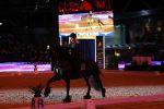 Amsterdam 28 januari 2023
Samantha Steenwijk rijdt op haar paard een kuhr terwijl ze zingt tijdens Jumping Amsterdam in de RAI.