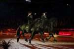 Amsterdam 28 januari 2023
Samantha Steenwijk rijdt op haar paard een kuhr terwijl ze zingt tijdens Jumping Amsterdam in de RAI.