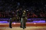 Amsterdam 28 januari 2023
Samantha Steenwijk rijdt op haar paard een kuhr terwijl ze zingt tijdens Jumping Amsterdam in de RAI.