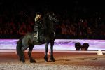 Amsterdam 28 januari 2023
Samantha Steenwijk rijdt op haar paard een kuhr terwijl ze zingt tijdens Jumping Amsterdam in de RAI.