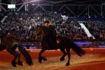 Amsterdam 28 januari 2023
Samantha Steenwijk rijdt op haar paard een kuhr terwijl ze zingt tijdens Jumping Amsterdam in de RAI.