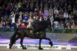 Amsterdam 28 januari 2023
Samantha Steenwijk rijdt op haar paard een kuhr terwijl ze zingt tijdens Jumping Amsterdam in de RAI.