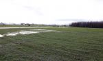 Noordwijkerhout 6 januari 2023
Op deze locatie wordt het nieuwe huis van Martien Meiland Erica Meiland en Maxime Meiland gebouwd . De paaltjes zijn al geplaatst