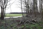 Noordwijkerhout 6 januari 2023
Op deze locatie wordt het nieuwe huis van Martien Meiland Erica Meiland en Maxime Meiland gebouwd . De paaltjes zijn al geplaatst
