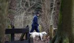 Huizen 13 januari 2024
Linda de Mol en Jeroen Rietbergen samen wandelend met hun 2 honden / labradors.