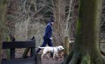 Huizen 13 januari 2024
Linda de Mol en Jeroen Rietbergen samen wandelend met hun 2 honden / labradors.