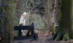 Huizen 13 januari 2024
Linda de Mol en Jeroen Rietbergen samen wandelend met hun 2 honden / labradors.