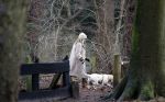 Huizen 13 januari 2024
Linda de Mol en Jeroen Rietbergen samen wandelend met hun 2 honden / labradors.