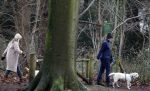 Huizen 13 januari 2024
Linda de Mol en Jeroen Rietbergen samen wandelend met hun 2 honden / labradors.