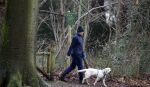 Huizen 13 januari 2024
Linda de Mol en Jeroen Rietbergen samen wandelend met hun 2 honden / labradors.
