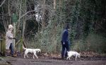 Huizen 13 januari 2024
Linda de Mol en Jeroen Rietbergen samen wandelend met hun 2 honden / labradors.