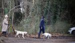 Huizen 13 januari 2024
Linda de Mol en Jeroen Rietbergen samen wandelend met hun 2 honden / labradors.