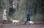 Huizen 13 januari 2024
Linda de Mol en Jeroen Rietbergen samen wandelend met hun 2 honden / labradors.