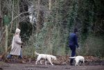 Huizen 13 januari 2024
Linda de Mol en Jeroen Rietbergen samen wandelend met hun 2 honden / labradors.