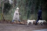 Huizen 13 januari 2024
Linda de Mol en Jeroen Rietbergen samen wandelend met hun 2 honden / labradors.