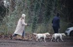 Huizen 13 januari 2024
Linda de Mol en Jeroen Rietbergen samen wandelend met hun 2 honden / labradors.