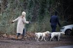 Huizen 13 januari 2024
Linda de Mol en Jeroen Rietbergen samen wandelend met hun 2 honden / labradors.
